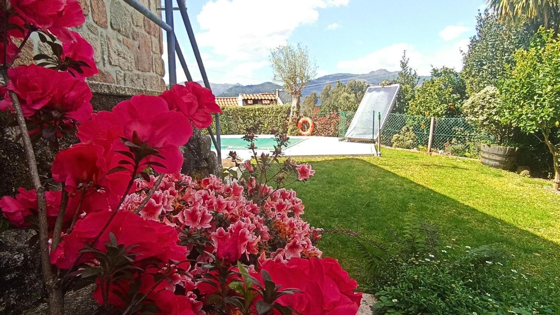 Casa Da Lage - T1 Com Piscina Privada - Geres Vườn quốc gia Peneda-Gerês Ngoại thất bức ảnh